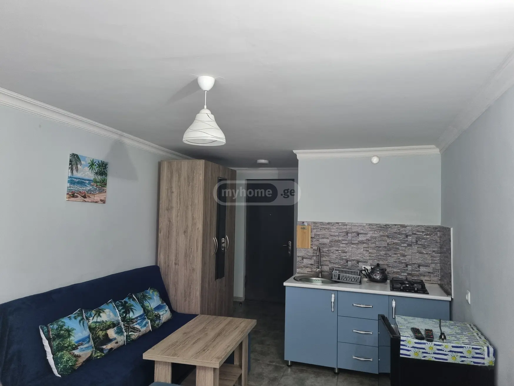 1 Room Flat Daily Rent. Borjomi view 12