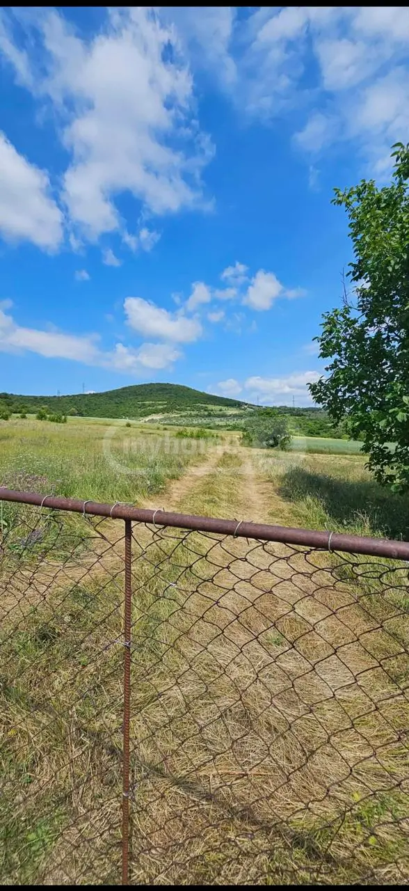 Agricultural Plot For Sale In Dusheti view 1