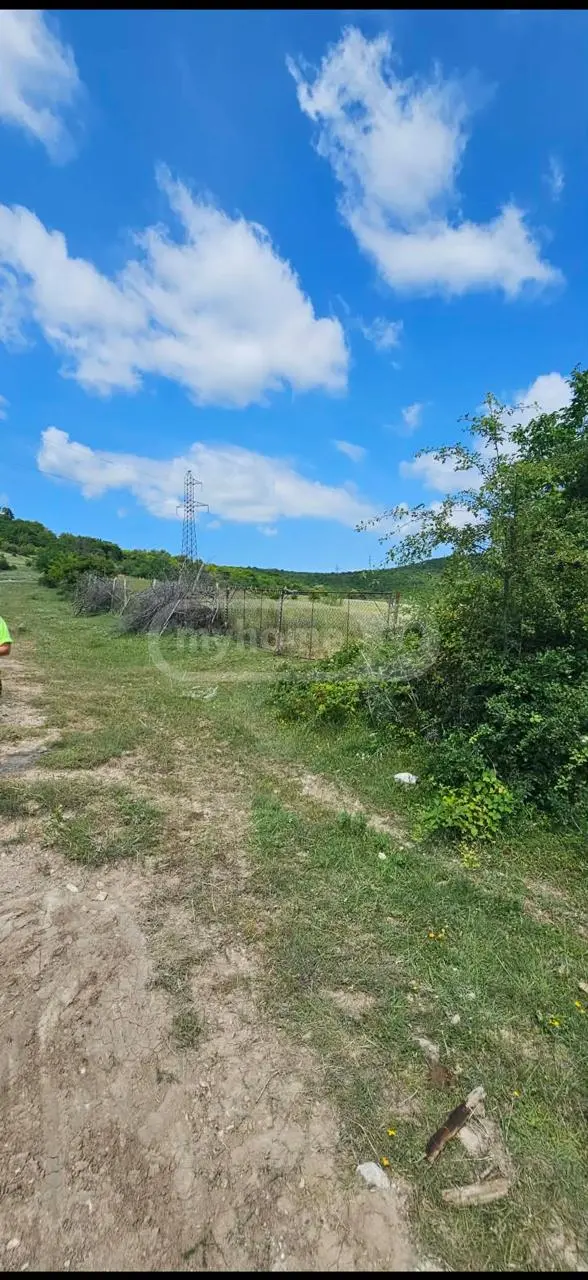 Agricultural Plot For Sale In Dusheti view 2