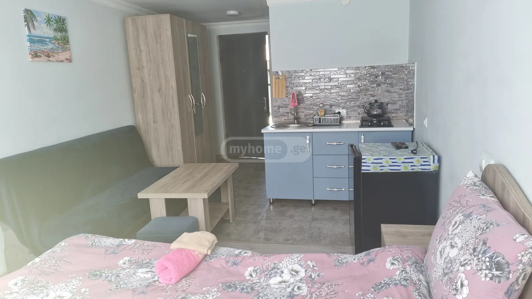 1 Room Flat Daily Rent. Borjomi view 13