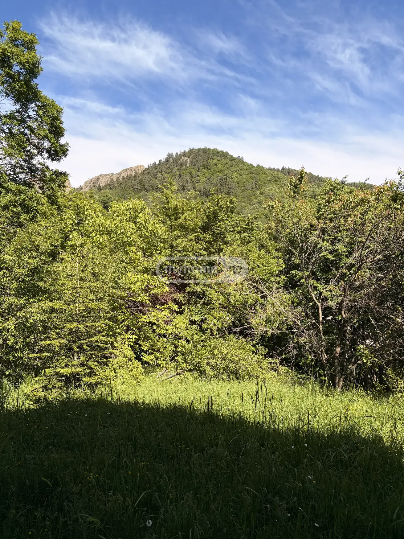 4 Room Country House For Sale view 5