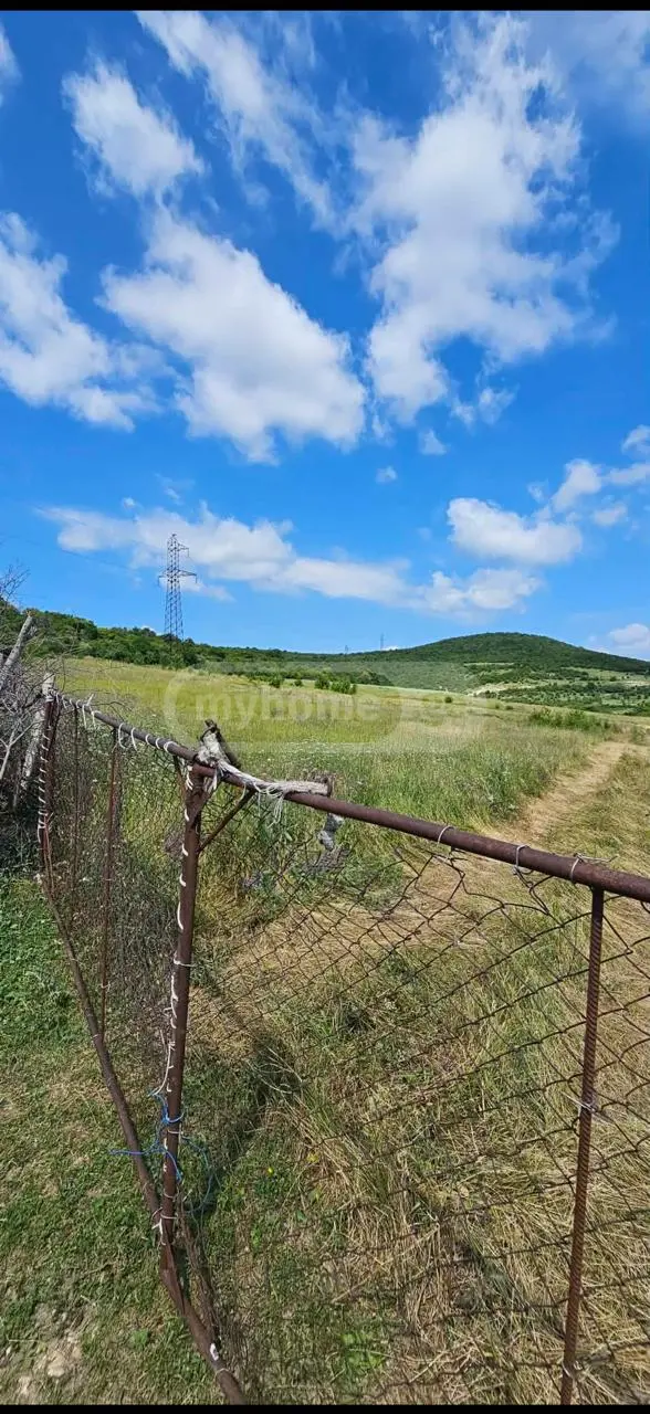 Agricultural Plot For Sale In Dusheti view 3