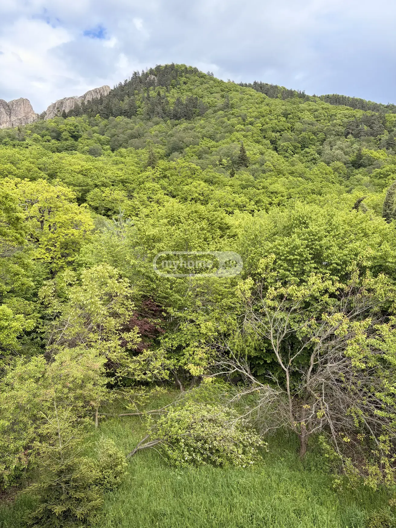 4 Room Country House For Sale view 1
