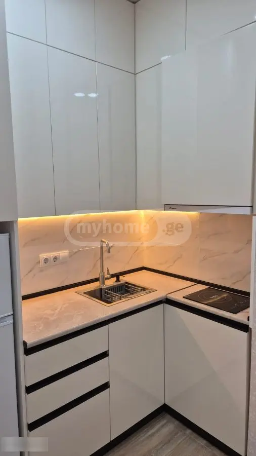 2-Room Apartment For Rent In Tbilisi, Ekvtime Kheladze St, 4 view 17