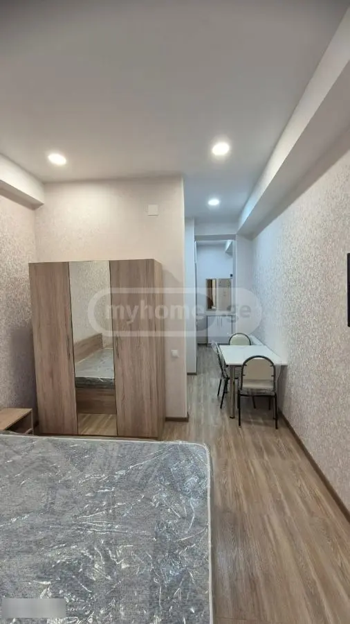 2-Room Apartment For Rent In Tbilisi, Ekvtime Kheladze St, 4 view 18