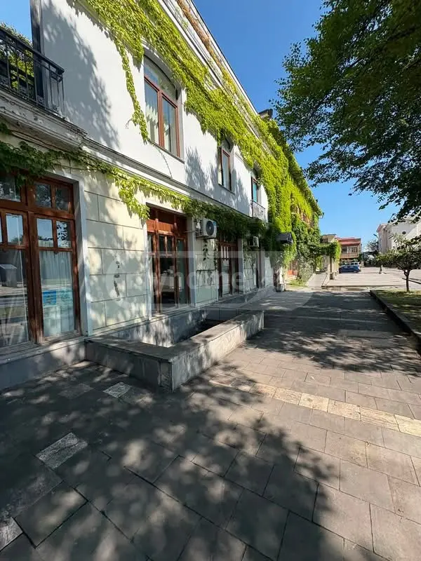 Basement Commercial Area For Sale In Telavi view 8