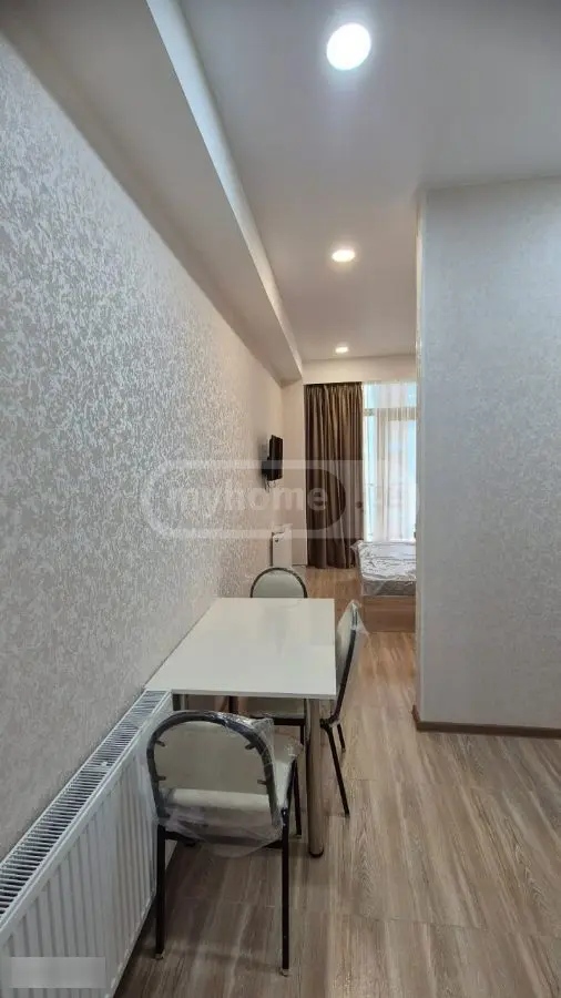 2-Room Apartment For Rent In Tbilisi, Ekvtime Kheladze St, 4 view 16