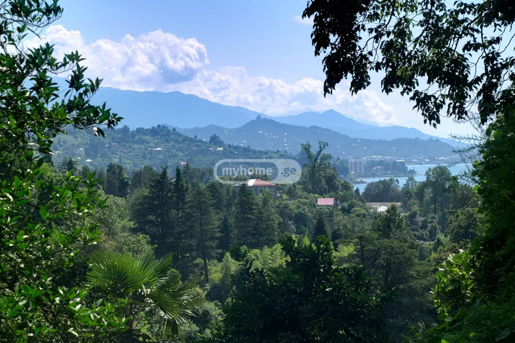 Agricultural Plot For Sale In Makhinjauri, In Batumi view 2