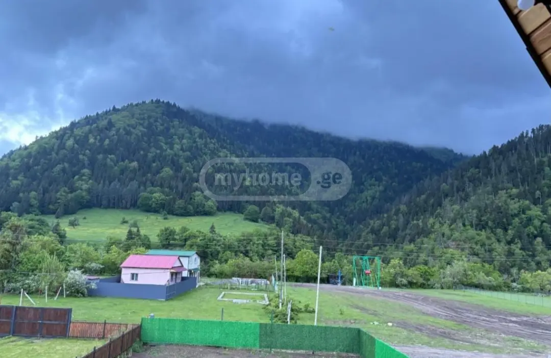 3 Room Country House Daily Rent In Borjomi view 13