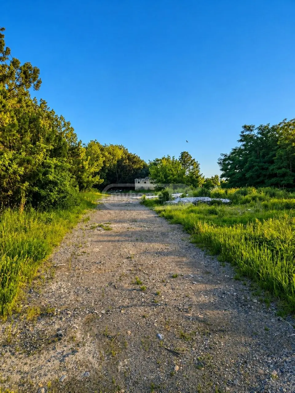 Non-Agricultural Plot For Sale In Gori view 3