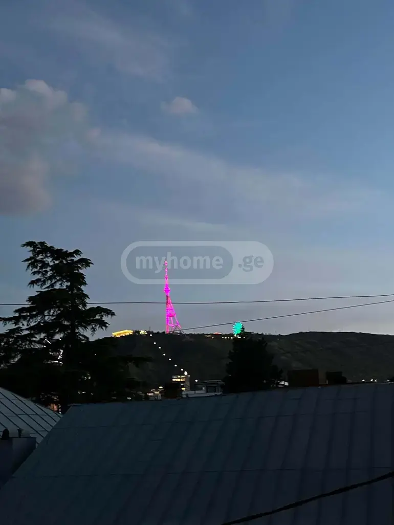 2-Room Apartment For Rent In Tbilisi, Kote Marjanishvili St, 35/69 view 17