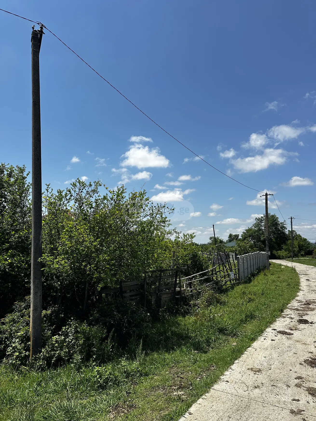 იყიდება Agricultural Plot In Tskaltuboში view 8