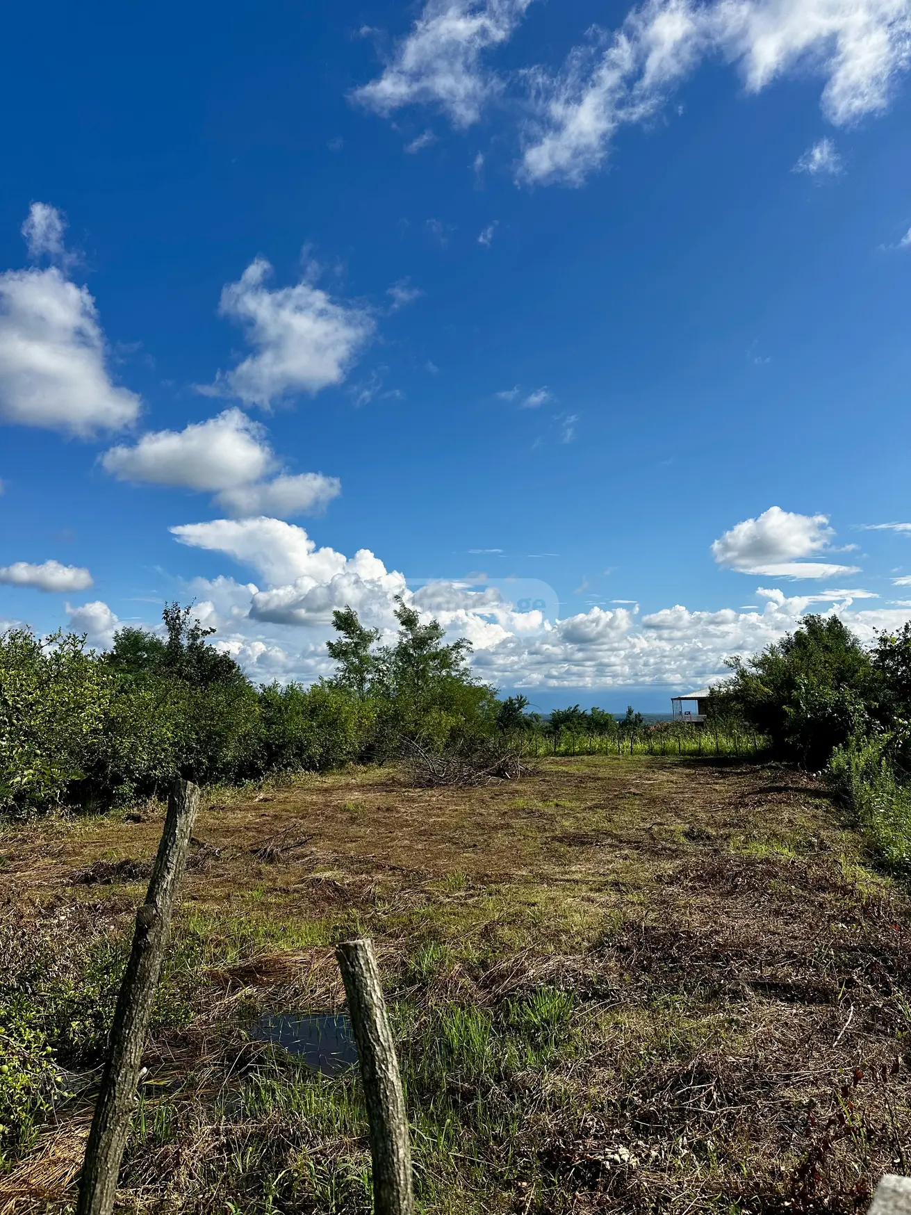 იყიდება Agricultural Plot In Tskaltuboში view 3