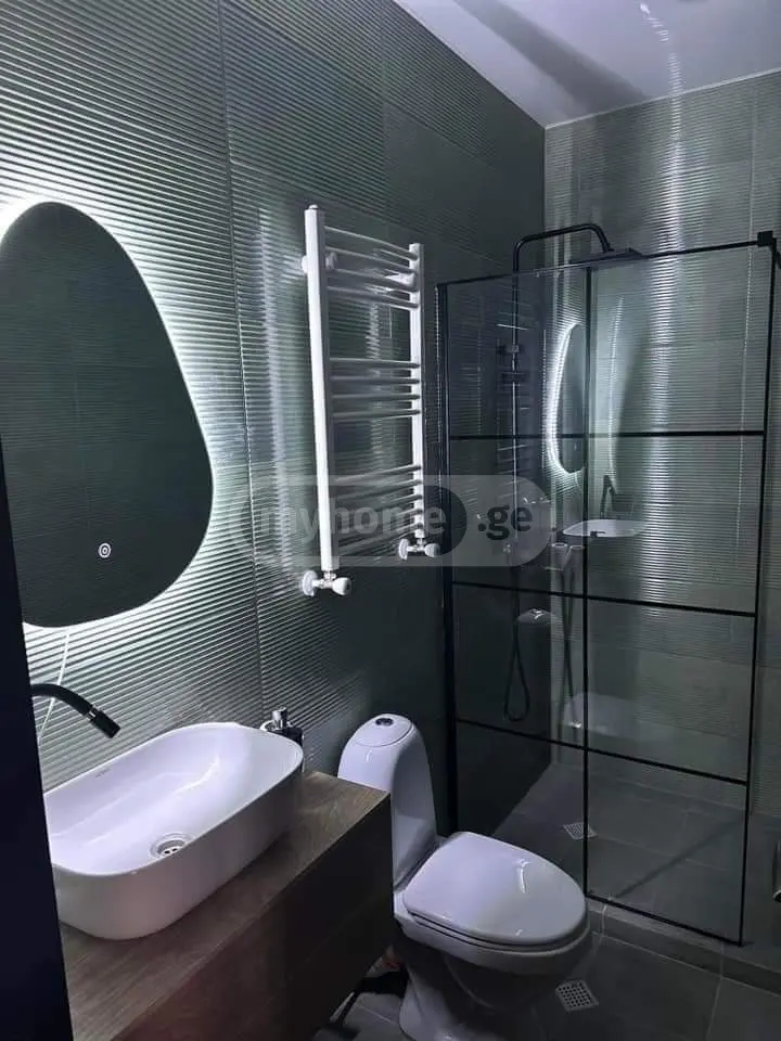 4 Room Private House Daily Rent In Lisi Lake view 7