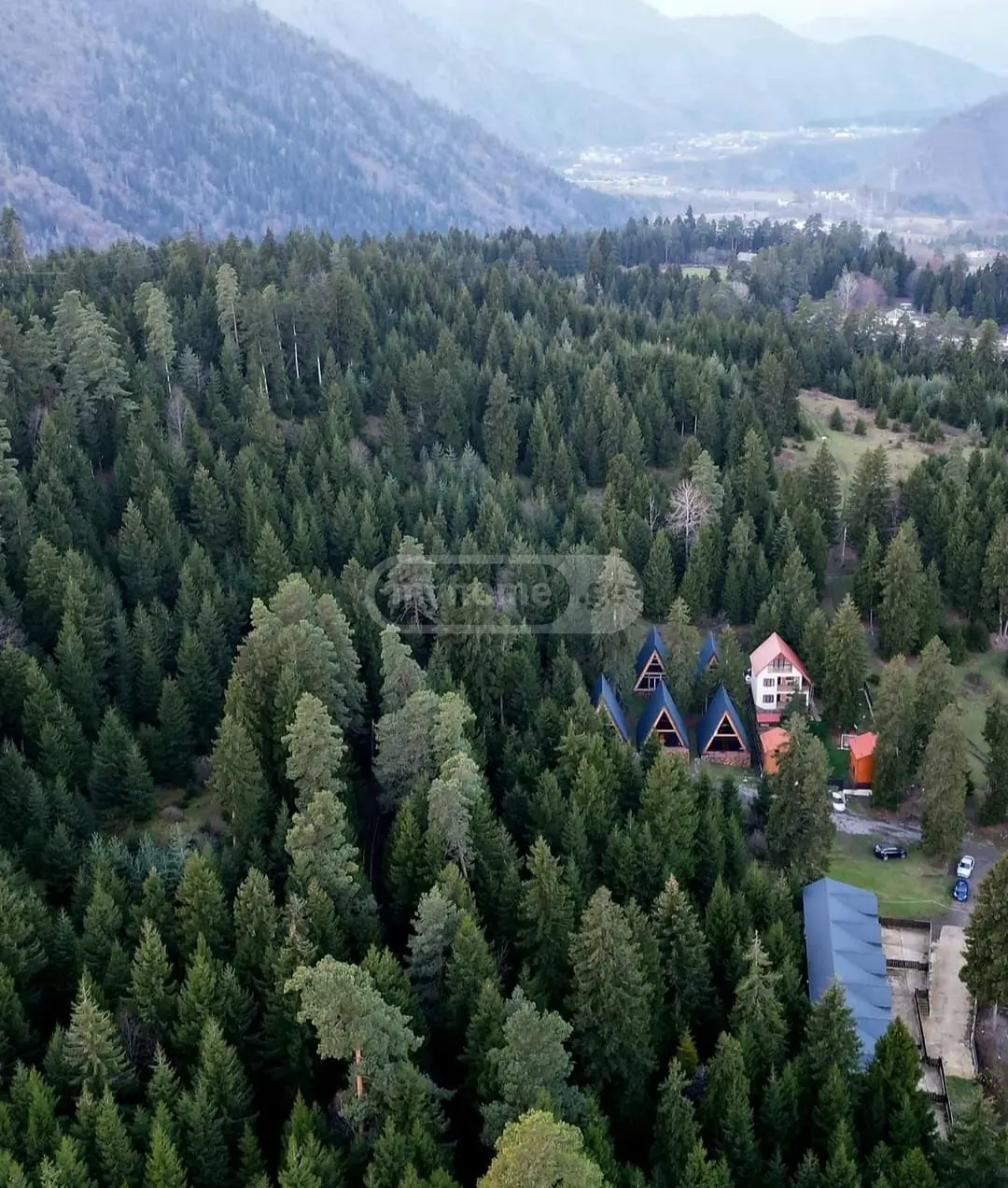 10+ Room Country House For Sale In Borjomi Municipality view 2