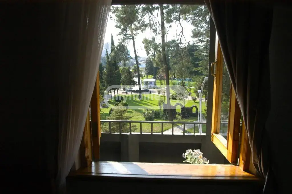 1 Room Apartment Daily Rent In Old Batumi District, In Batumi view 7