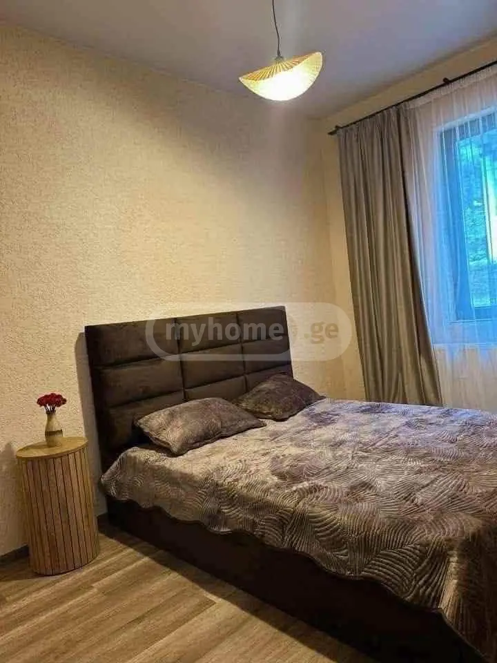 4 Room Private House Daily Rent In Lisi Lake view 9