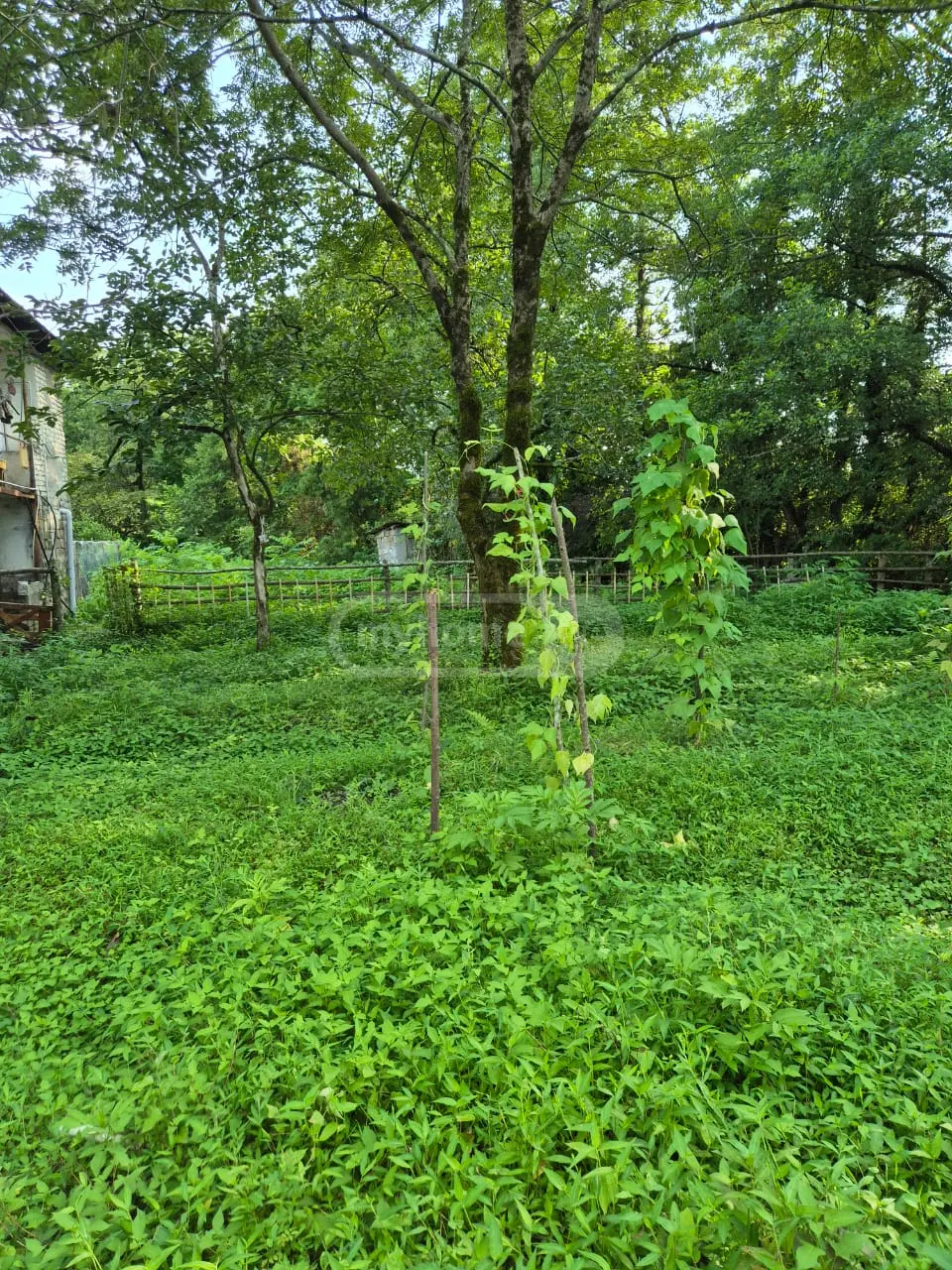 10+ Room Private House For Sale In Supsa, In Lanchkhuti Municipality view 1