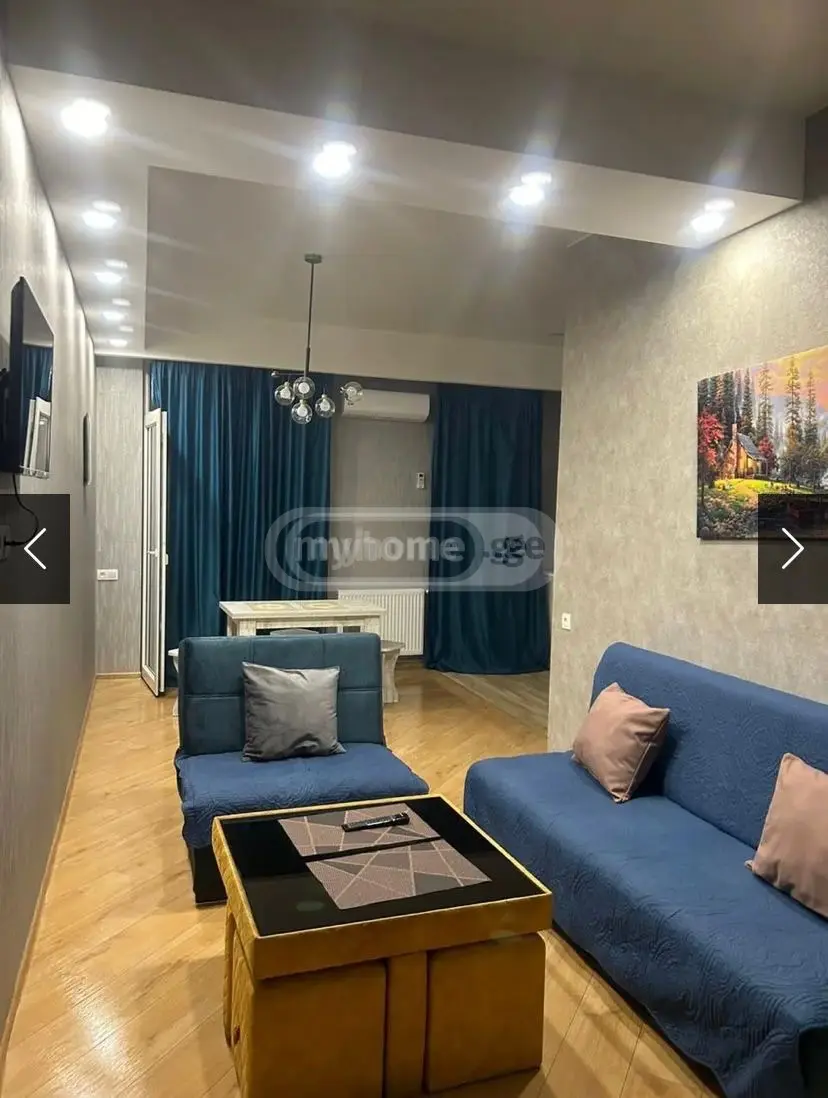 2 Room Flat Daily Rent. Didi Digomi view 29