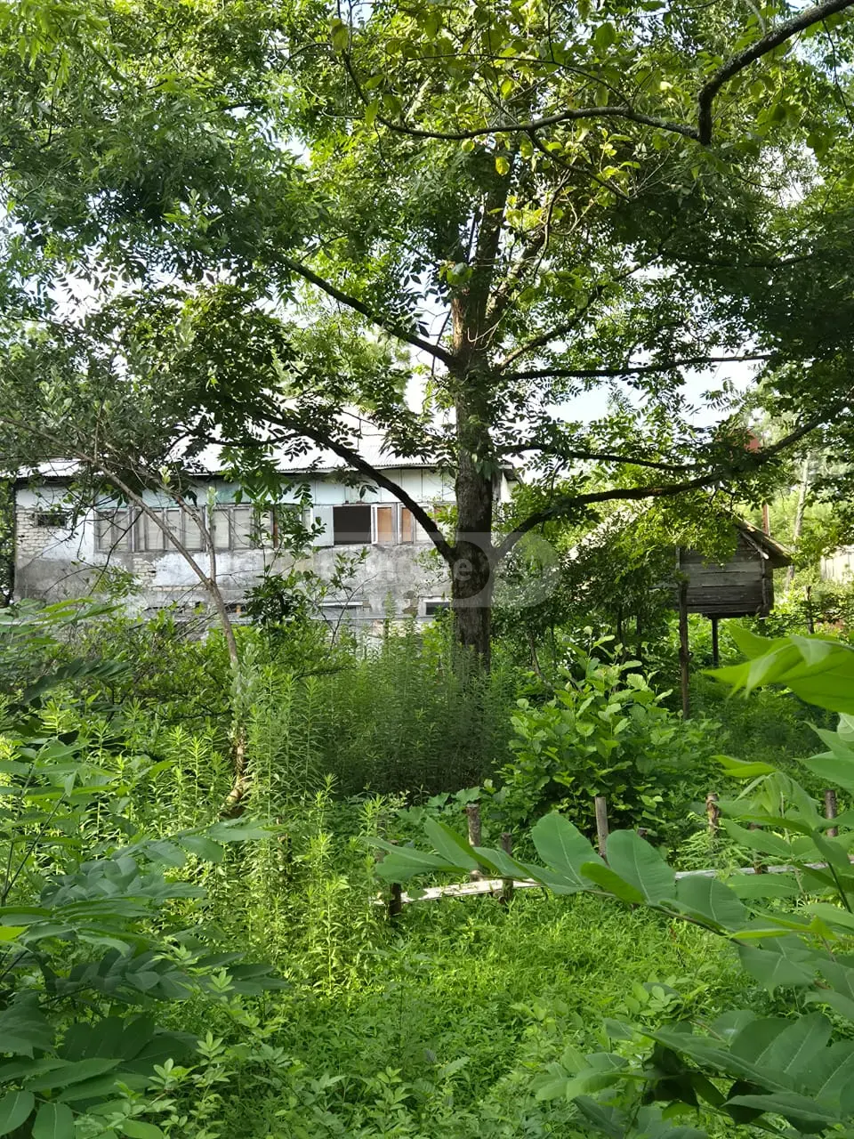 10+ Room Private House For Sale In Supsa, In Lanchkhuti Municipality view 2