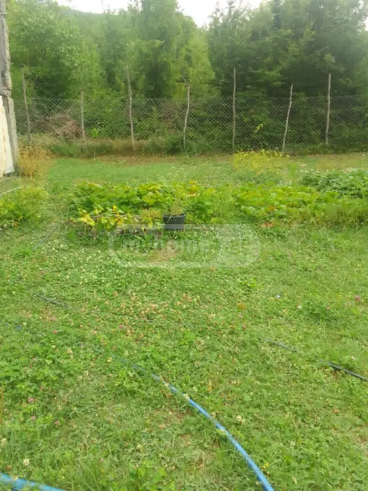 3 Room Private House For Sale view 13