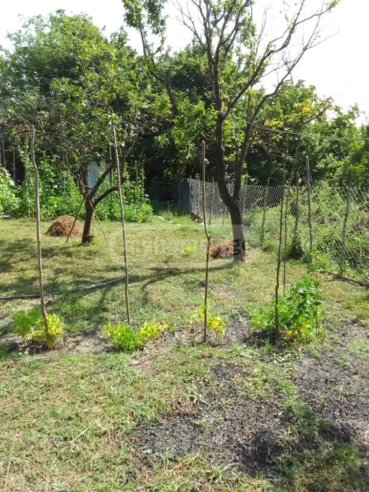 3 Room Private House For Sale view 14