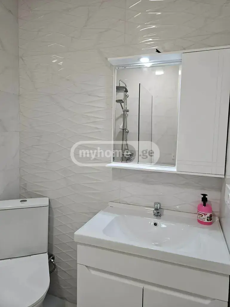 1 Room Apartment Daily Rent In Didi Digomi view 9
