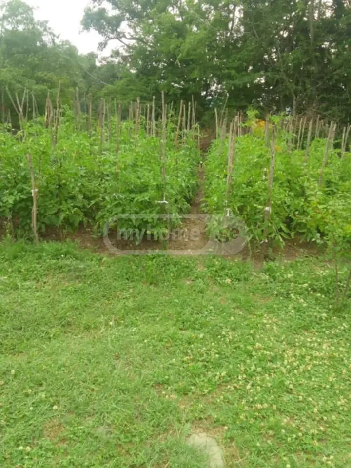 3 Room Private House For Sale view 10