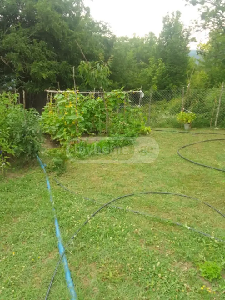 3 Room Private House For Sale view 11