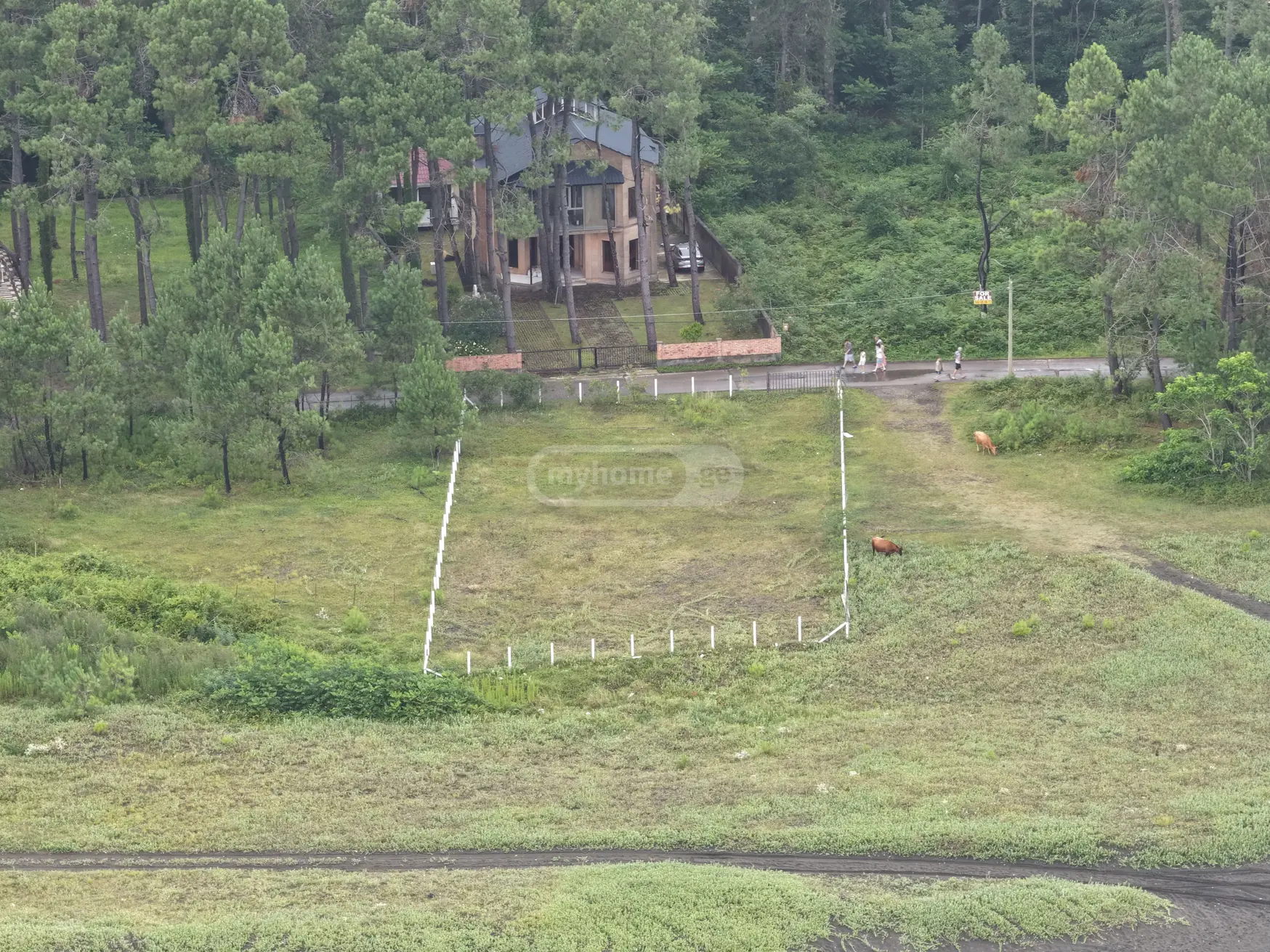 Non-Agricultural Plot For Sale In Ozurgeti Municipality view 4