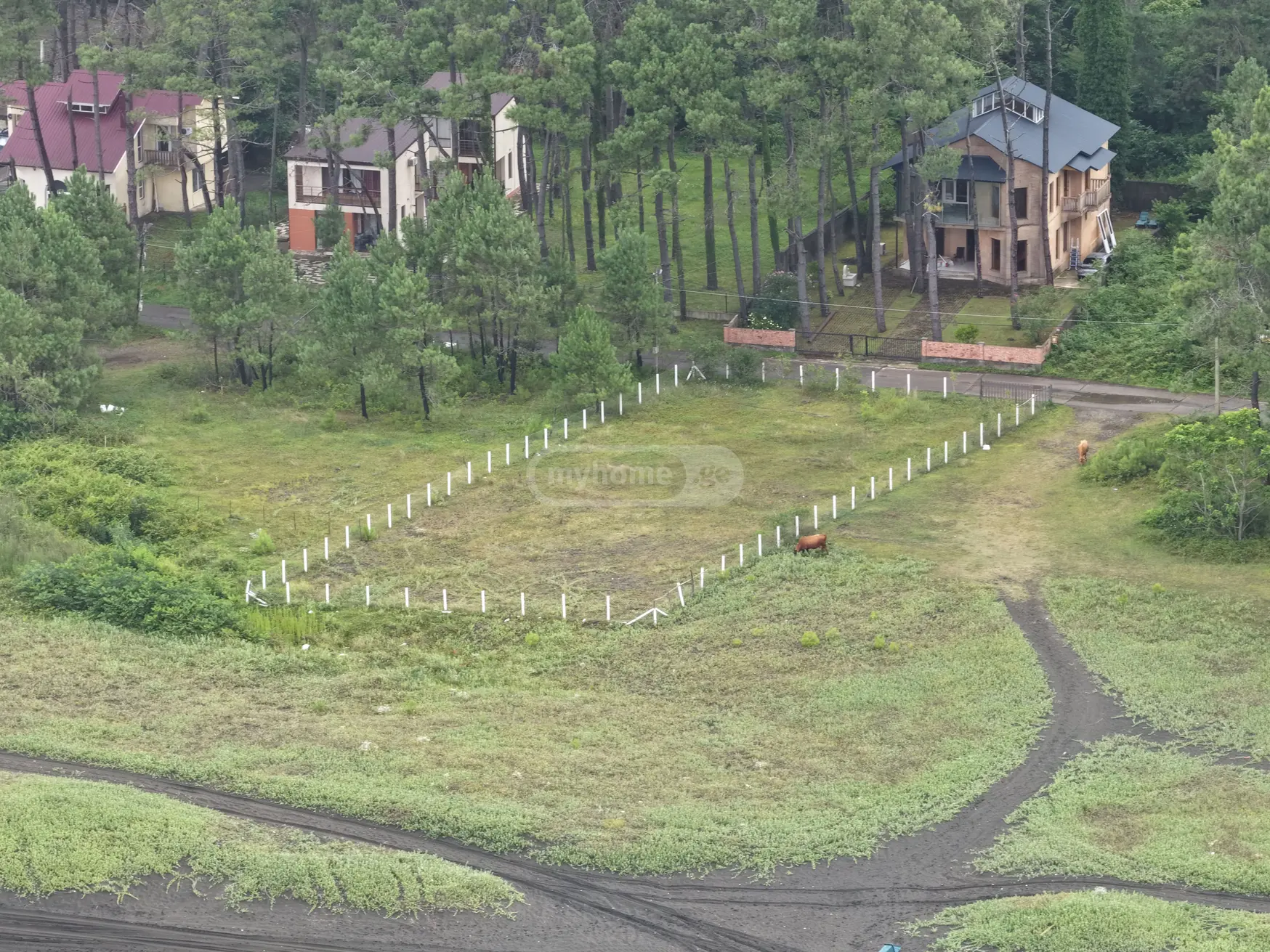 Non-Agricultural Plot For Sale In Ozurgeti Municipality view 3