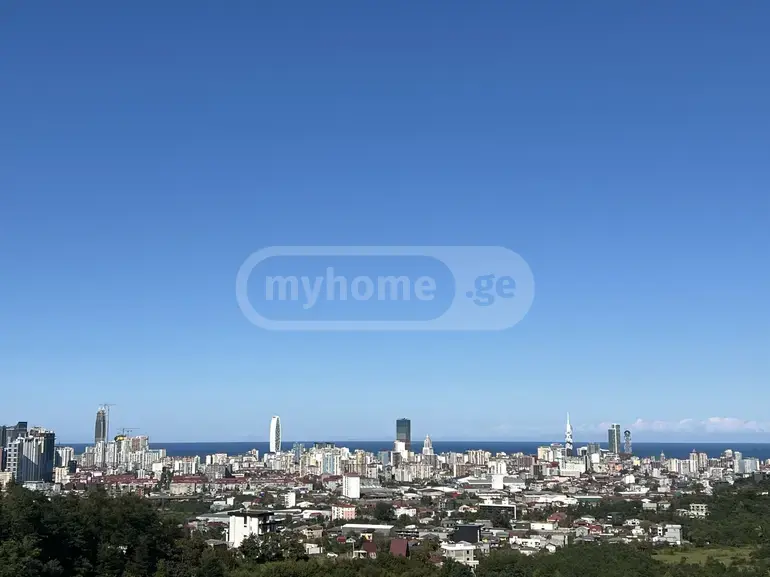 Agricultural Plot For Sale In Batumi view 2