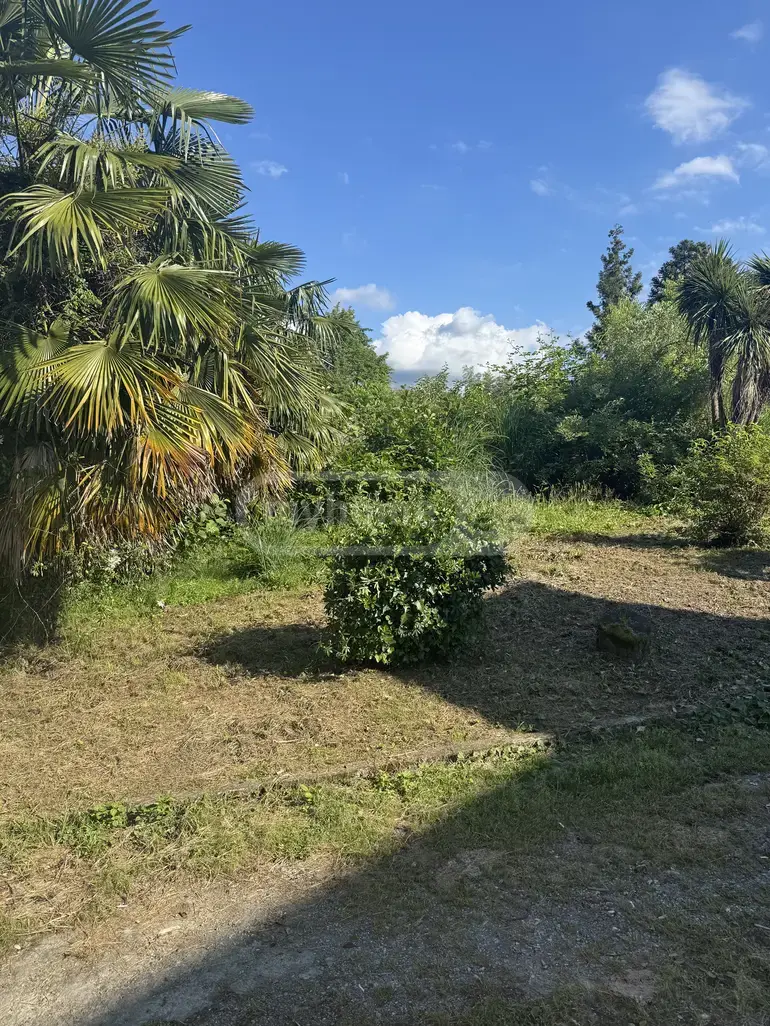Agricultural Plot For Sale In Batumi view 1