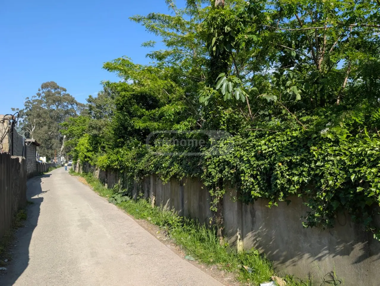 Agricultural Plot For Sale In Batumi view 5
