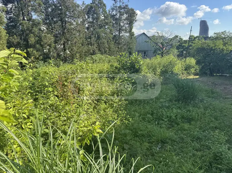 Agricultural Plot For Sale In Batumi view 2