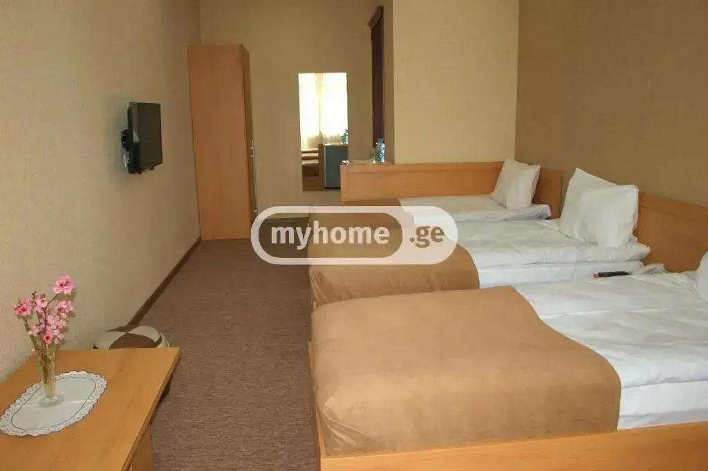 10+ Room Hotel For Rent In Didi Digomi view 14