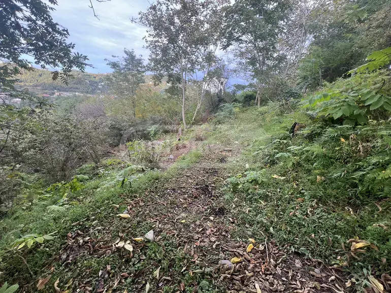 Agricultural Plot For Sale In Batumi view 3