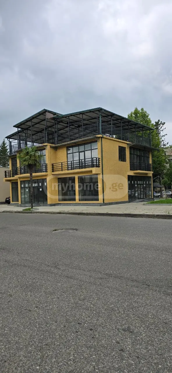 Universal Commercial Area For Rent In Samtredia view 2