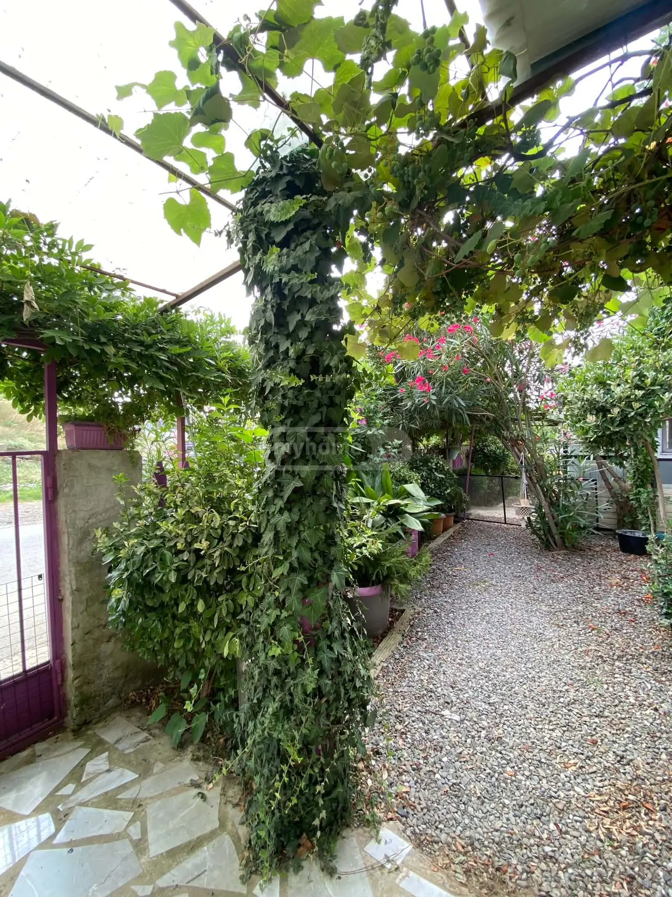 3 Room Private House For Sale view 20