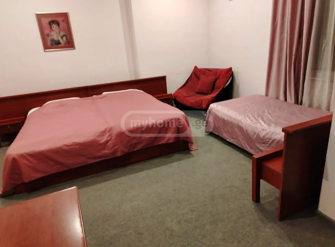 1 Room Private House Daily Rent In Vake view 2
