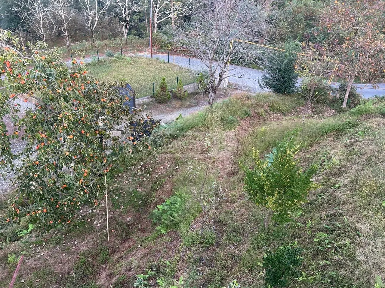 2 Room Country House For Sale view 14