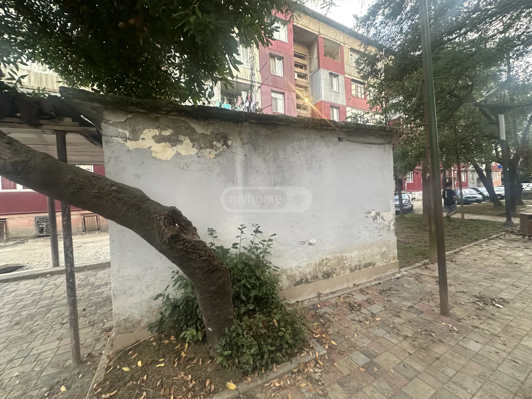 Trade Commercial Area For Sale In Batumi view 4