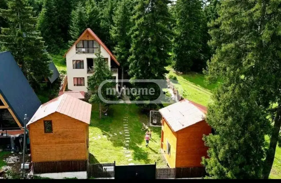 10+ Room Hotel For Sale In Tsemi, In Borjomi Municipality view 3
