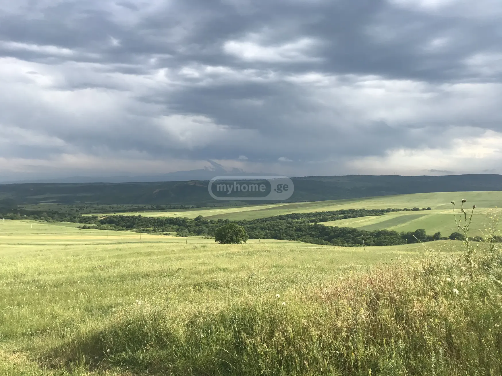 იყიდება Investment / For Construction Plot In Enageti, In Tetritskaro Municipalityში view 3