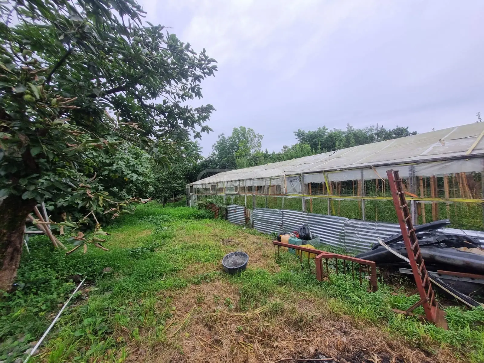 3 Room Private House For Sale view 4