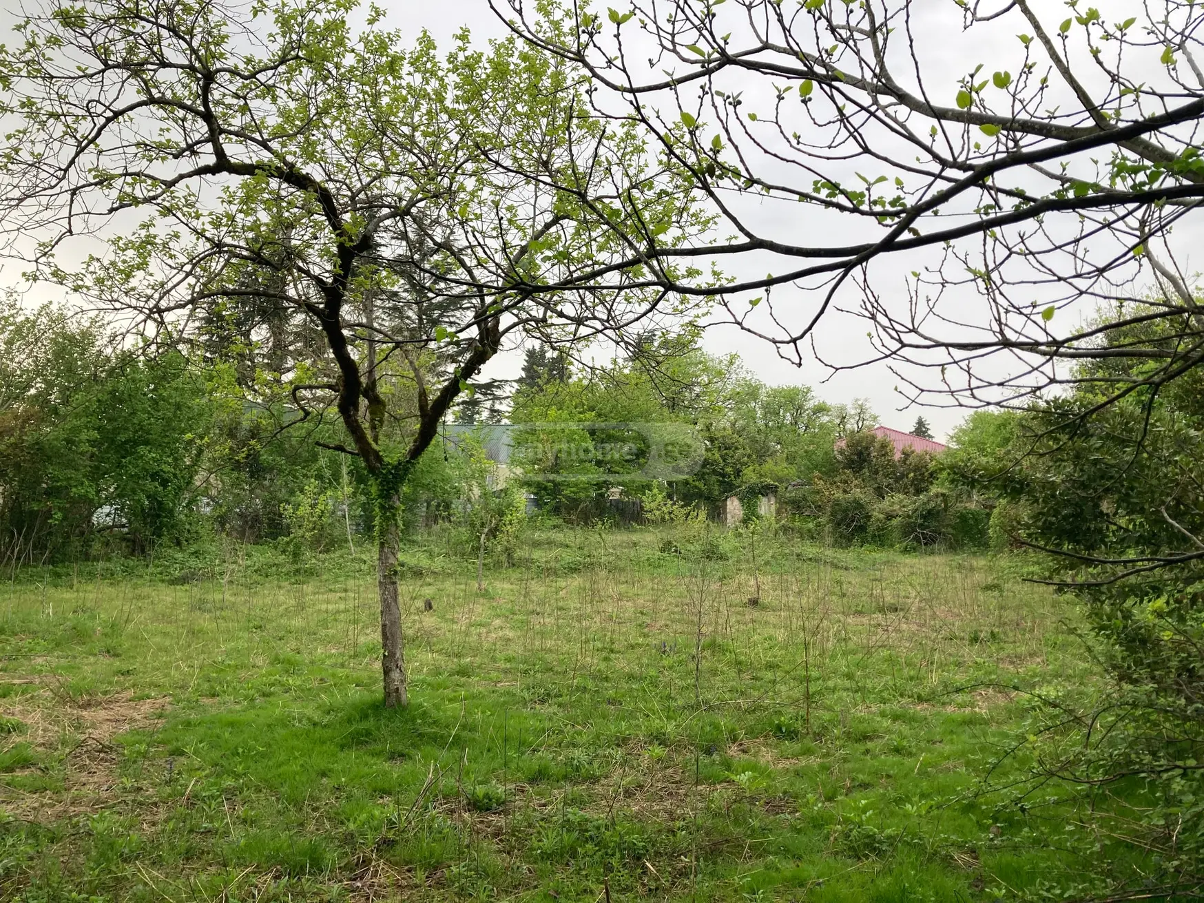 7 Room Private House For Sale view 9