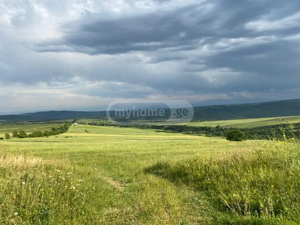 იყიდება Investment / For Construction Plot In Enageti, In Tetritskaro Municipalityში view 1