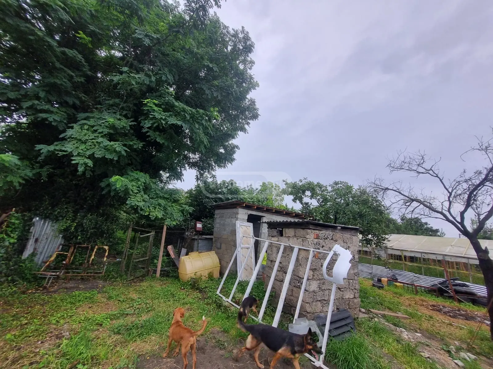 3 Room Private House For Sale view 3