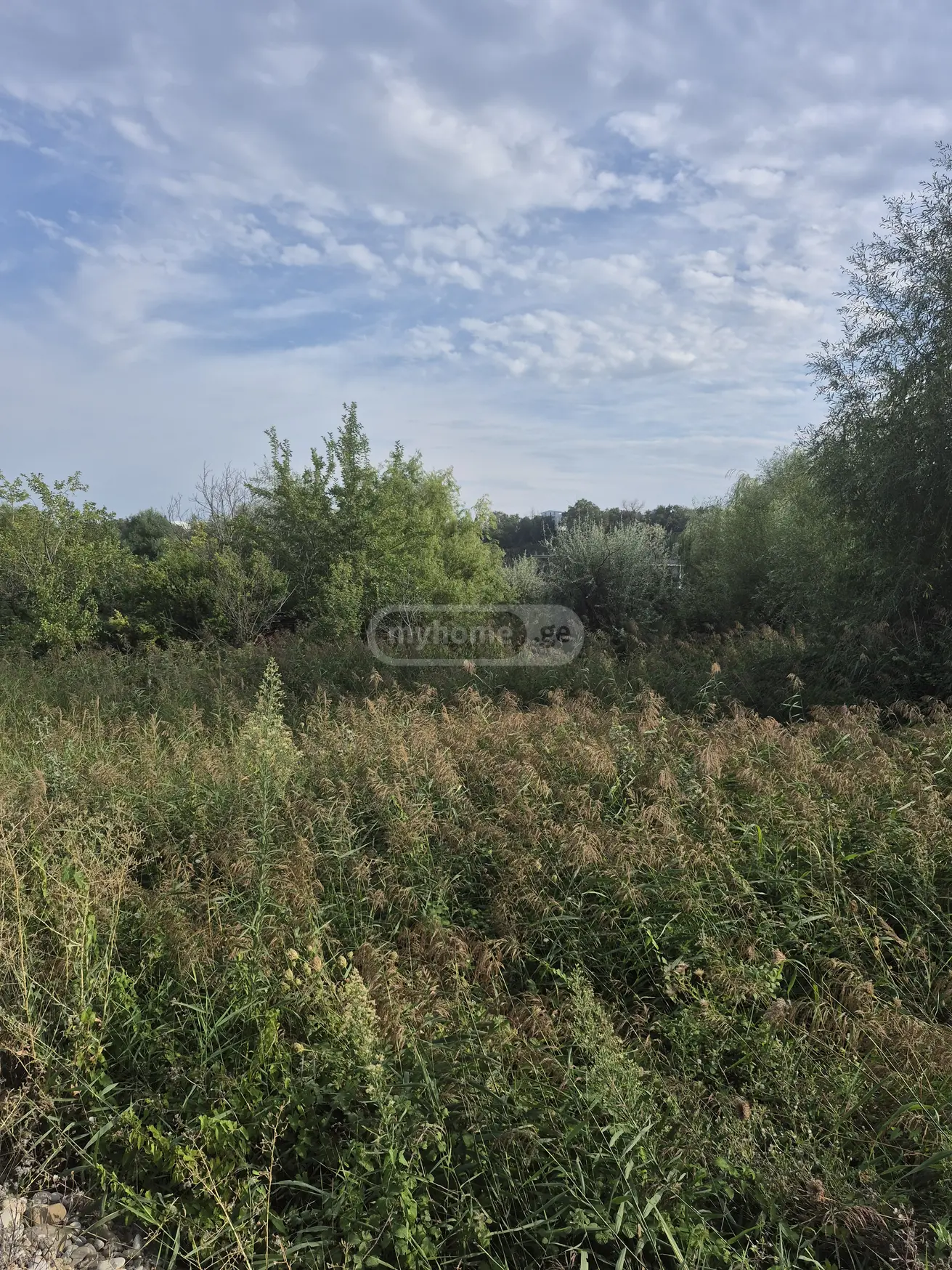 Agricultural Plot For Sale In Didi Digomi view 4