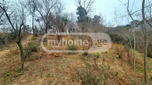 Agricultural Plot For Sale In Batumi view 3